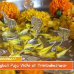 Narayan Bali Puja at Trimbakeshwar | Narayan Nagbali Pandit Trimbakeshwar | Narayan Nagbali Pooja Benefits | Call Kishan Guruji 7888288277