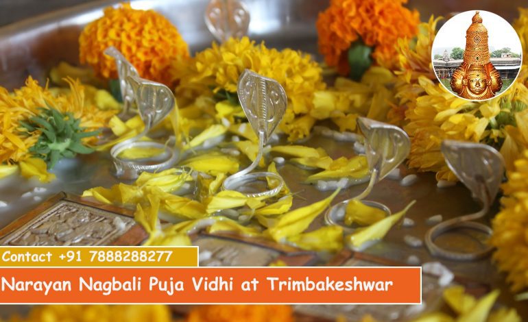 Narayan Bali Puja at Trimbakeshwar | Narayan Nagbali Pandit Trimbakeshwar | Narayan Nagbali Pooja Benefits | Call Kishan Guruji 7888288277