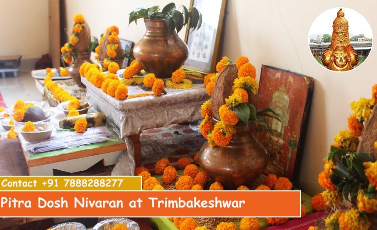 Pitra Dosh Nivaran Puja | Pitra Dosh Nivaran Puja in Kundali, Remedies, Cost, Effects | Pitra Dosh Remedies | Call Kishan Guruji 7888288277