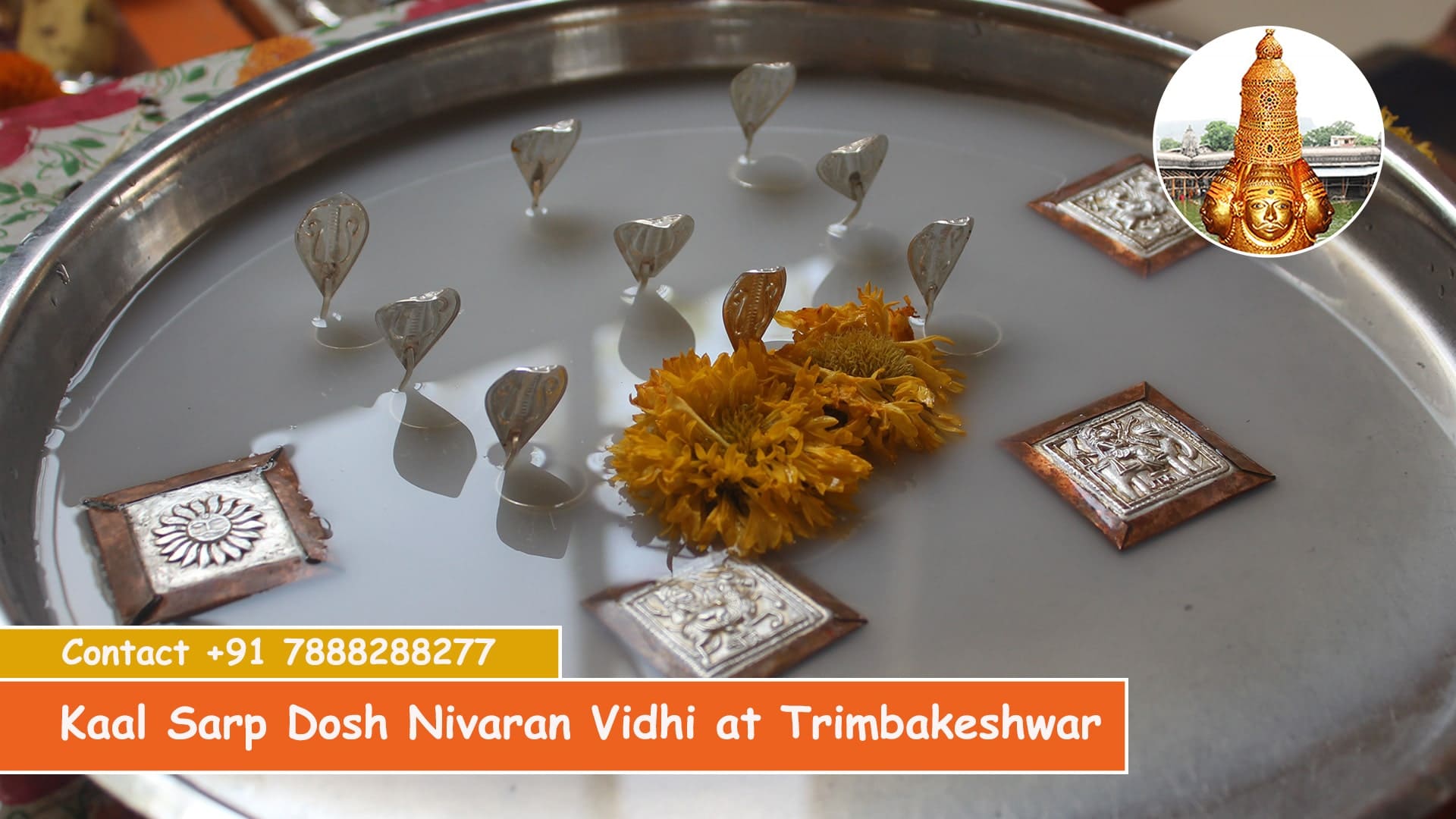 Kalsarp Pooja in Trimbakeshwar Nashik Pandit Contact Number