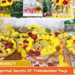 Unlocking The Spiritual Secrets Of Trimbakeshwar Pooja Rituals