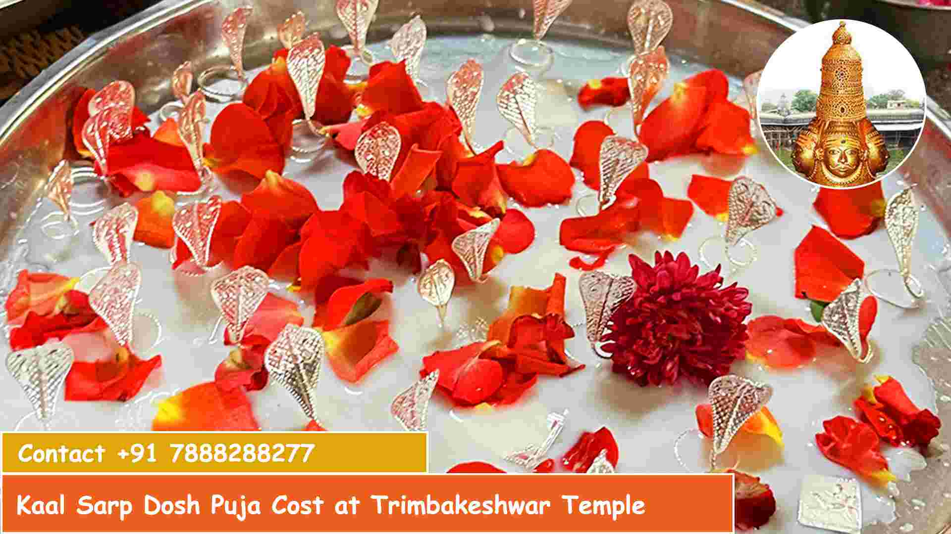 Kaal Sarp Dosh Puja Cost at Trimbakeshwar Temple