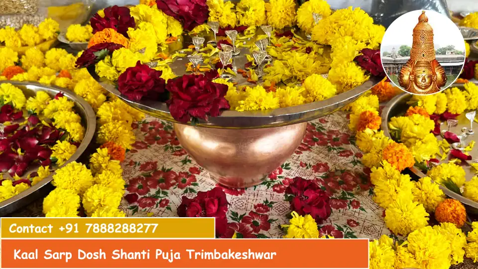 Kaal Sarp Dosh Shanti Puja Trimbakeshwar 