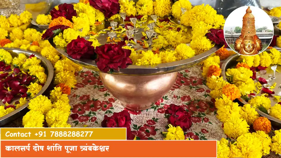 कालसर्प दोष शांति पूजा त्र्यंबकेश्वर